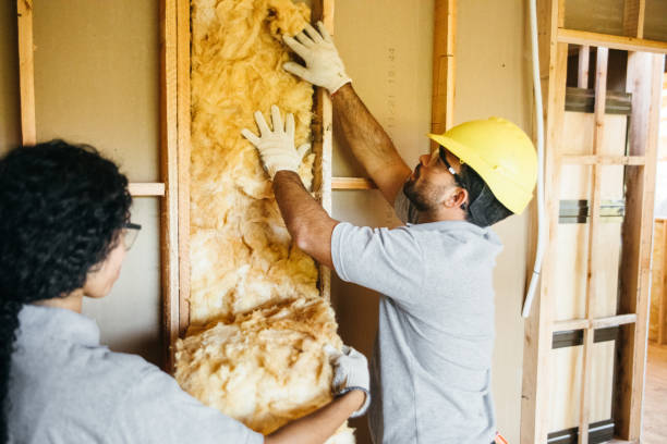 Best Basement Insulation  in Elma, WA